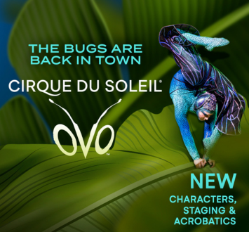 More Info for Cirque Du Soleil - Ovo